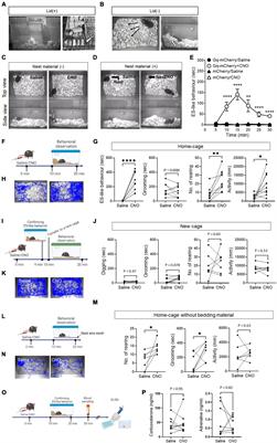 Entrance-sealing behavior in the home cage: a defensive response to potential threats linked to the serotonergic system and manifestation of repetitive/stereotypic behavior in mice